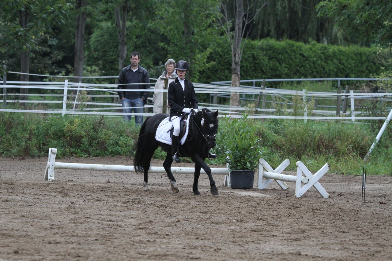 Bild 336 - WBO-Turnier am 18.9.11
